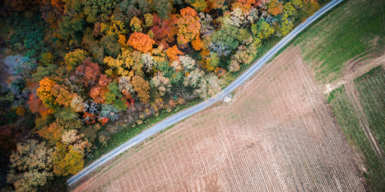 Aerial of dirt road alongside farmland and a forest in the fall.